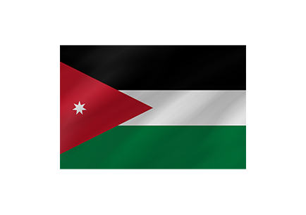 Palestine Flag image