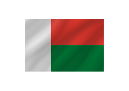Madagascar Flag image